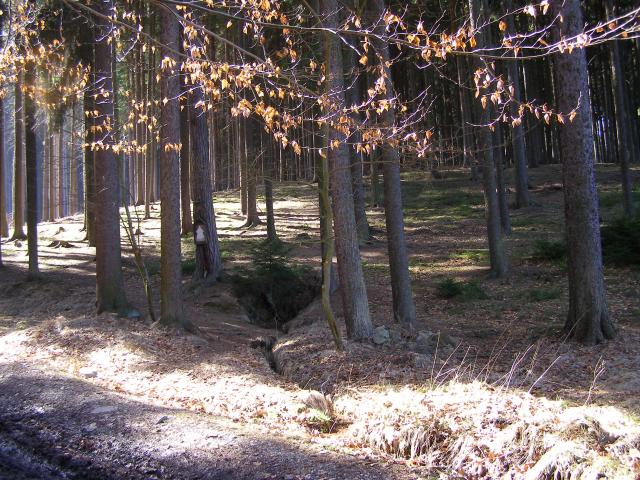 Studánka P. Marie na Podsrpu